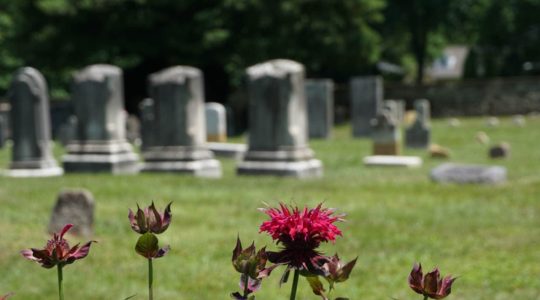 10 Major Cemeteries in Delaware [Update 2022]