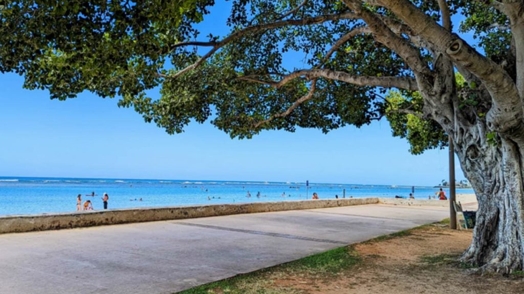 Ala Moana Park Path