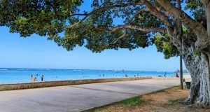10 Best Bike Trails in Hawaii [Update 2022]