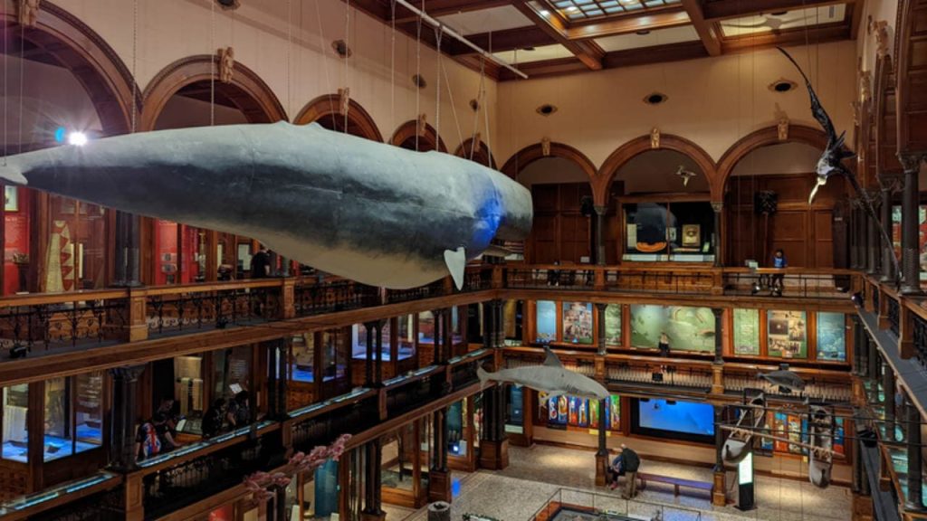 Bishop Museum is one of the Most Popular Museums in Hawaii