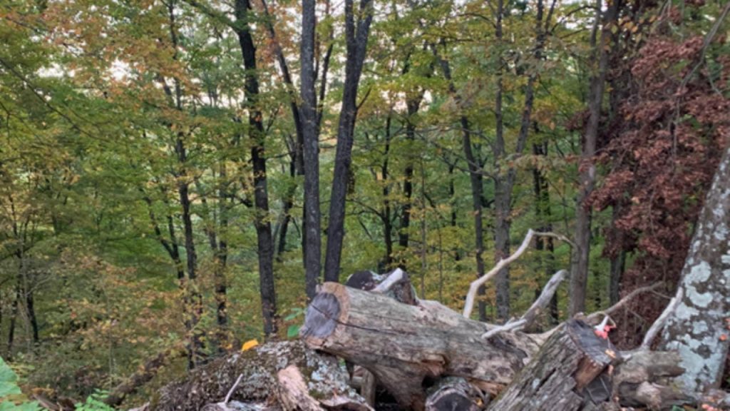 Clark State Forest is one of the best Public Hunting Lands in Indiana