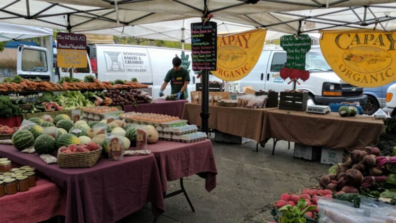 12 Fresh Farmers Markets in California[Update 2024]