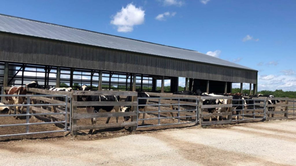 Golden Oaks Farm is one of the most Beautiful Dairy Farms in Illinois