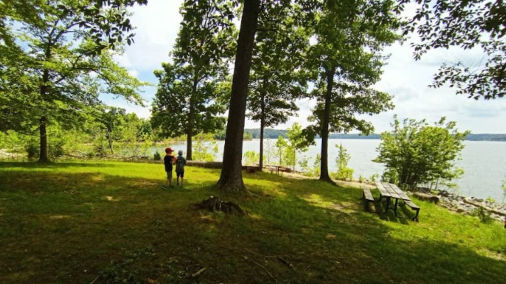 Hardin Ridge Recreation Area is one of the Best Campgrounds in Indiana
