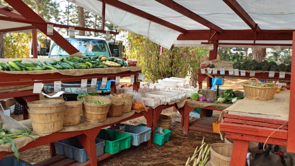 Kootenai County Farmers Market is one of the best Fresh Farmer Markets in Idaho