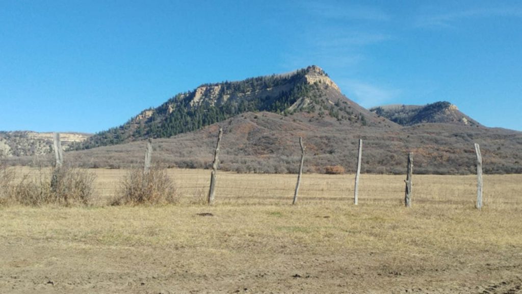 Lone Mesa is one of the best Public Hunting Lands in Colorado