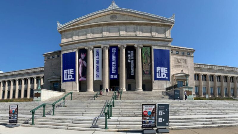 13 Best Museums in Illinois You Should Visit [Update 2024]