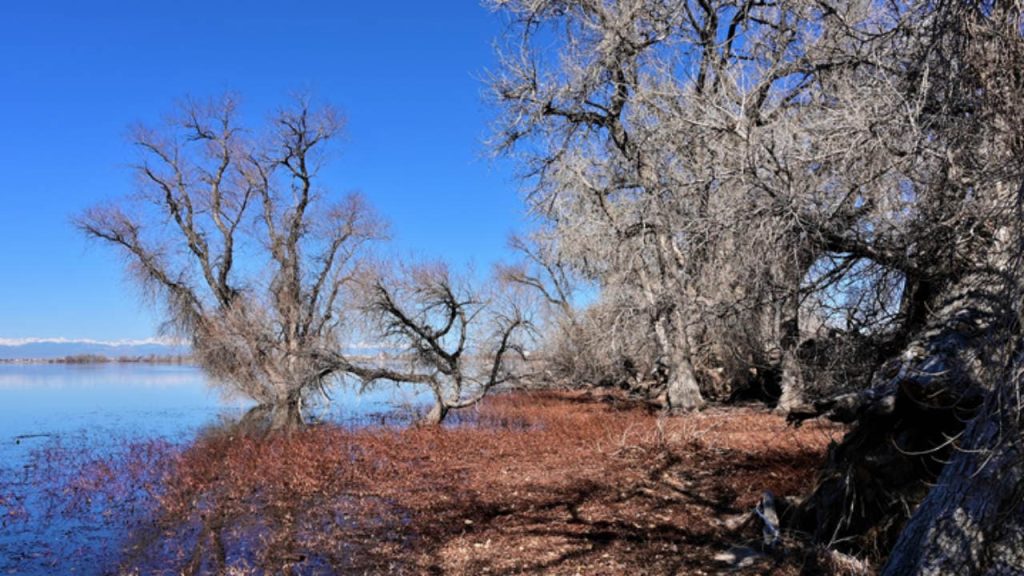 Barr Lake State Park, Brighton