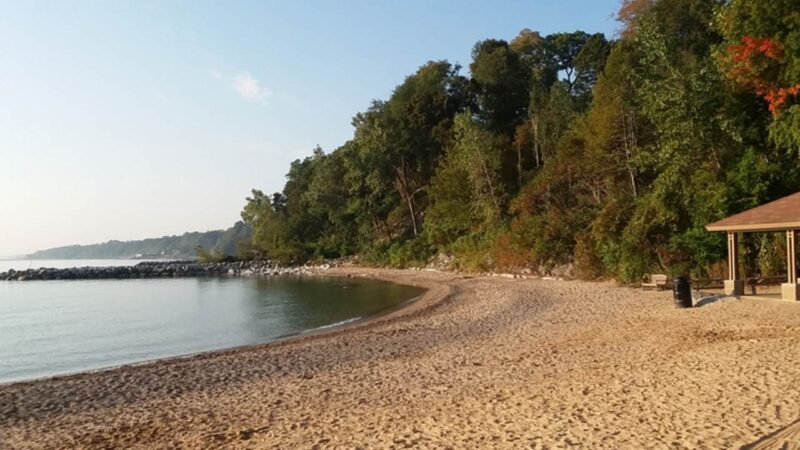 11 Best Beaches in Illinois You Must Visit [Update 2024]