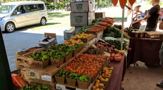 12 Fresh Farmers Markets in California [Update 2022]