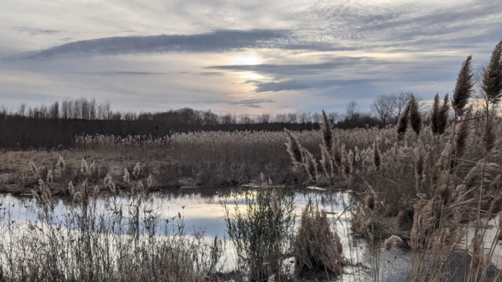 Mautino State Fish & Wildlife Area