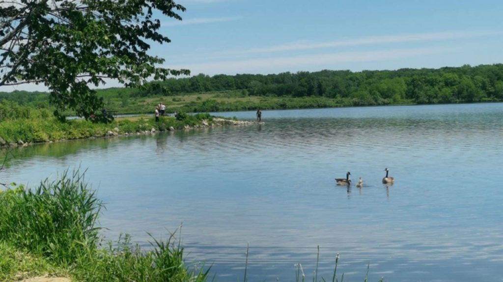 Shabbona Lake