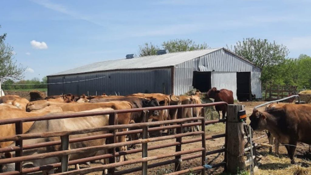 dairy farm to visit in indiana