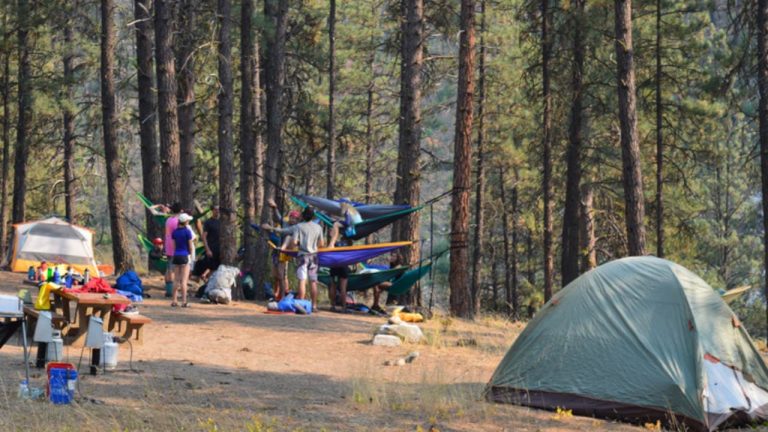 13 Best Campgrounds in Idaho for Camping [Update 2024]