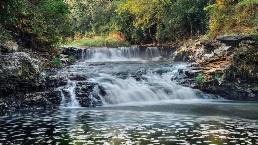 Briggs Woods Waterfalls