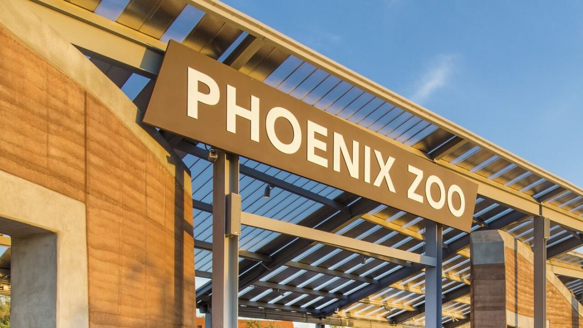 11 Best Zoos in Arizona You Must Visit [Update 2024]