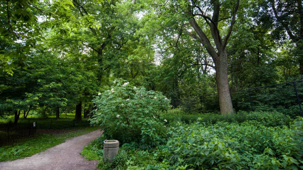 Bill Jarvis Migratory Bird Sanctuary