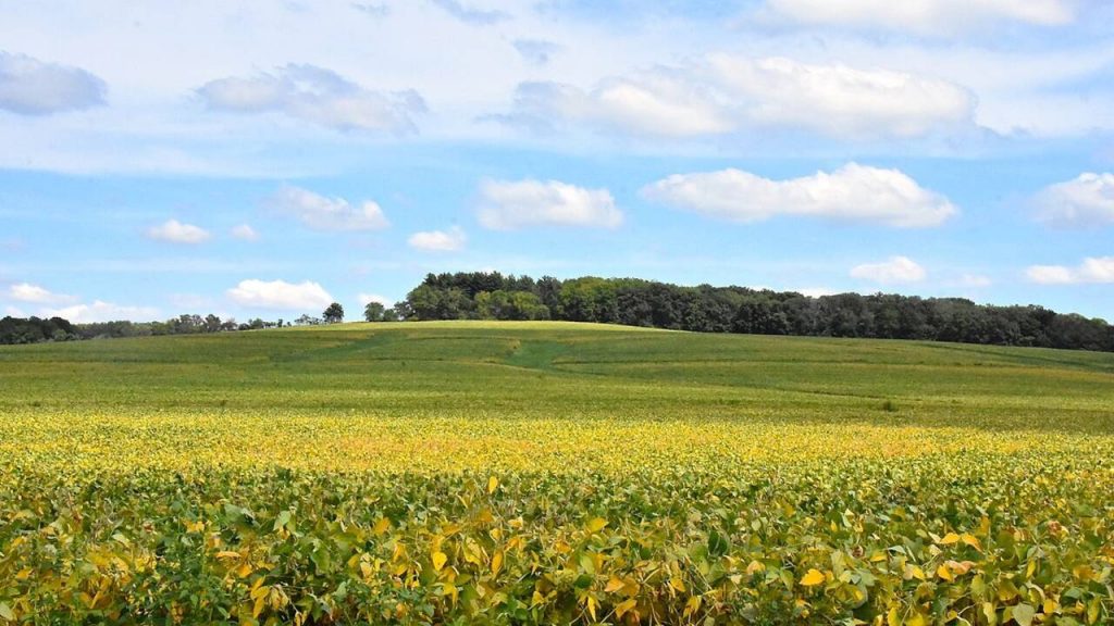 Charles Mound is one of the best mountains in Illinois