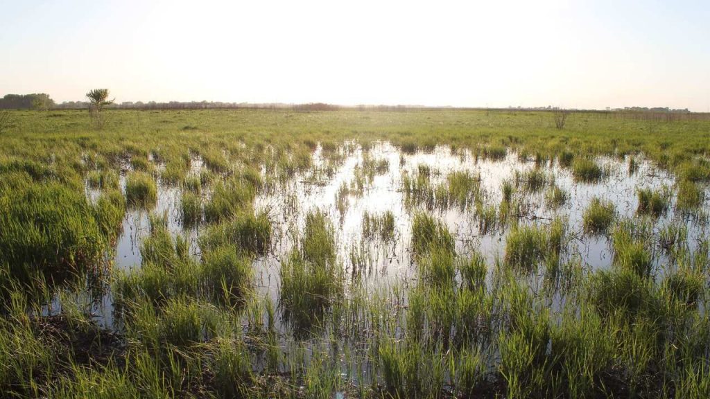 Doolittle Prairie is one of the best public hunting lands in Iowa