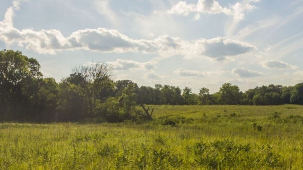 Ed Powell Wildlife Area