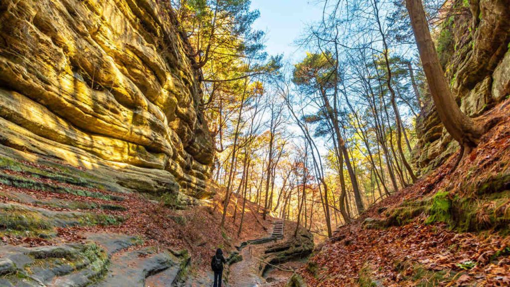 Starved Rock State Park