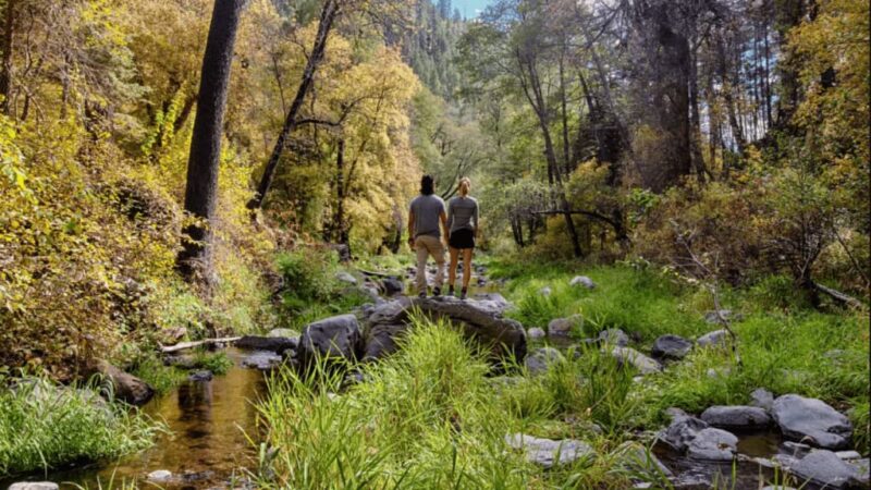 Cave Springs Campground