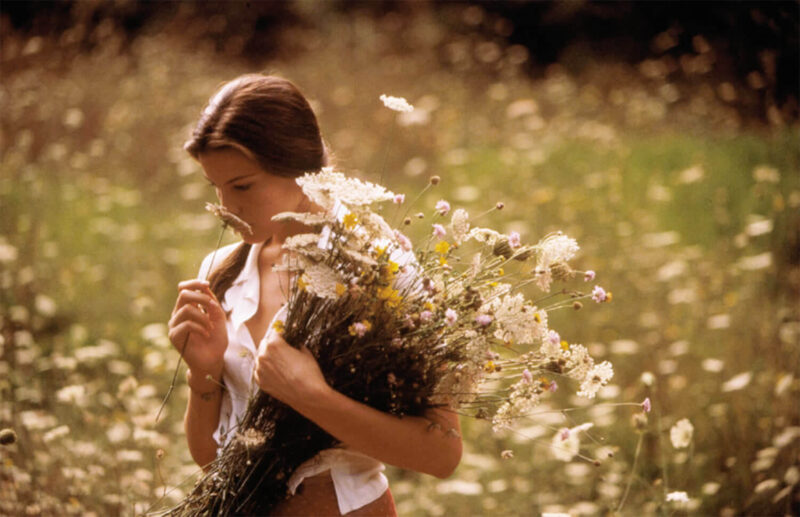 Films Where Flowers Played A Significant Role